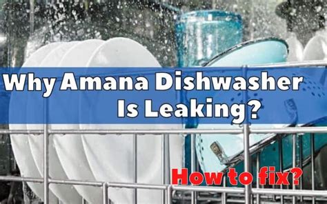 amana dishwasher leaking|Amana Dishwasher Repair